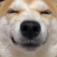 暗黑星缘