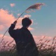 仙君南泽